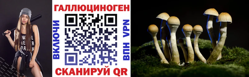 Псилоцибиновые грибы мицелий  где продают   Сретенск 